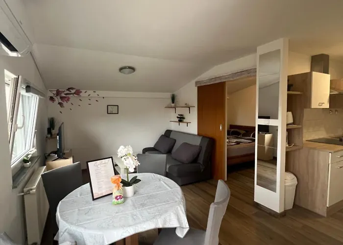 Διαμέρισμα Apartma Golovec